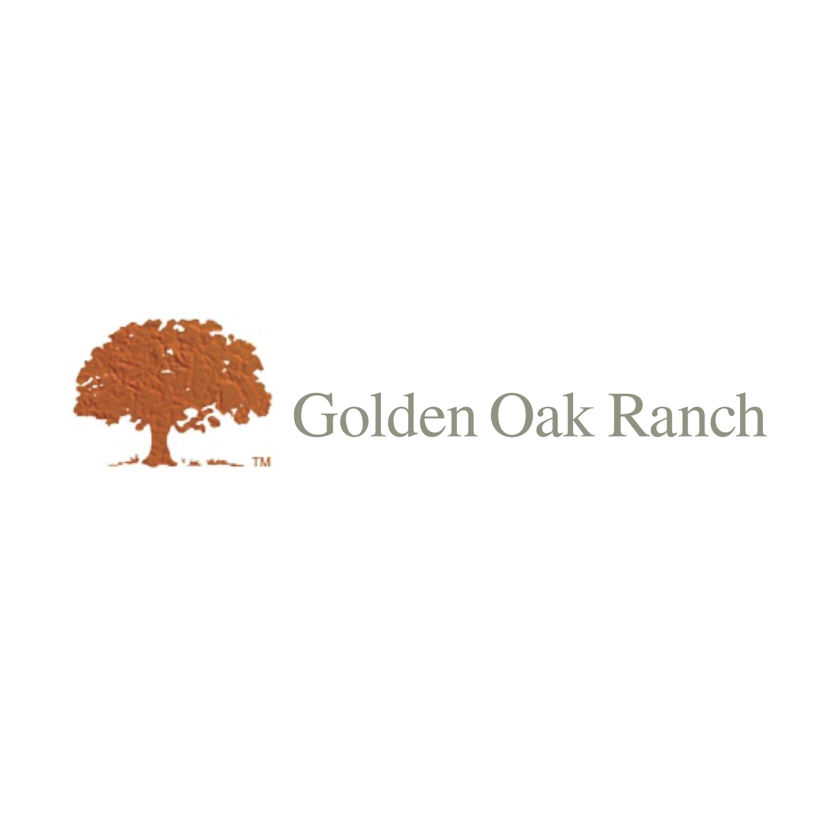 studio logo