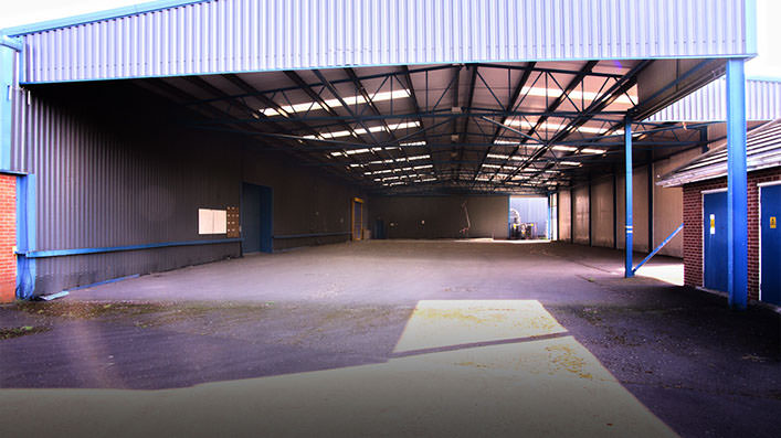 Peregrine Studio ST Picture 8