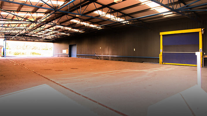 Peregrine Studio ST Picture 9