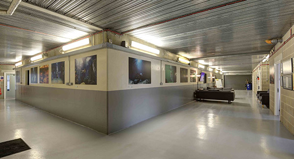 Pinewood Studios ST Picture 60