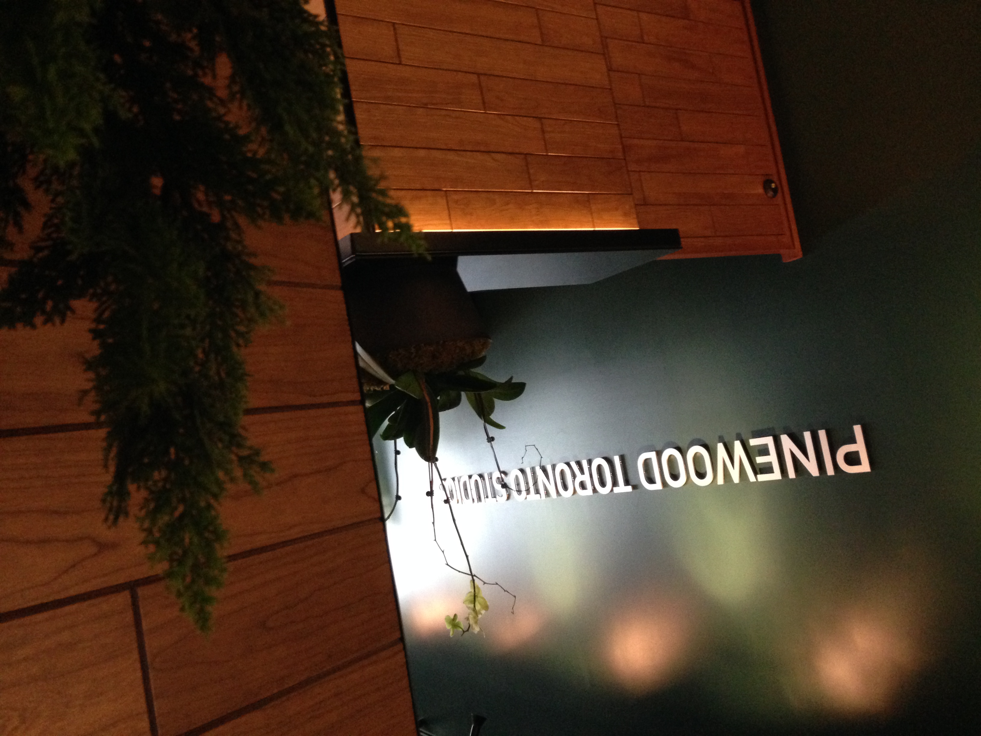 (XRuiz) Pinewood Toronto Studios ST Picture13