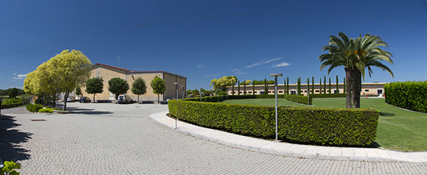 Lumina Studios ST Picture 00005