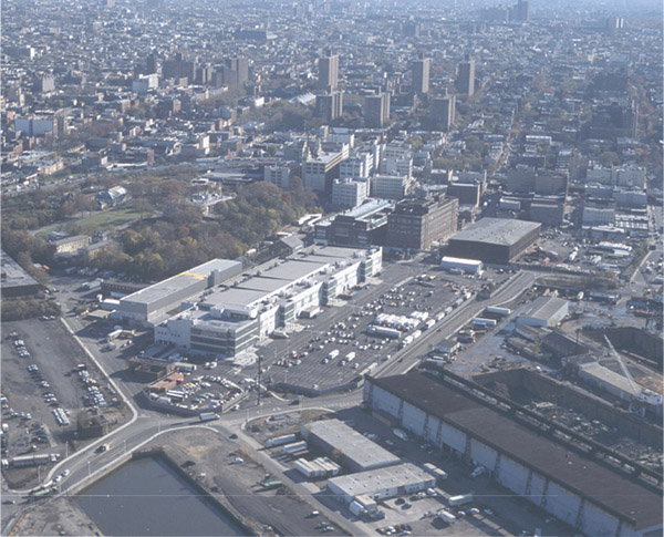 Steiner Studios ST Picture 2