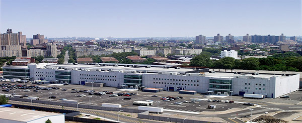 Steiner Studios ST Picture 20