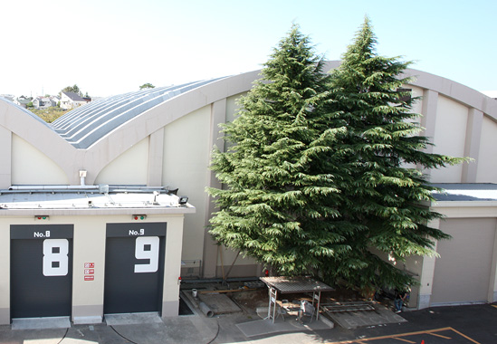 Toho Studios ST Picture 9