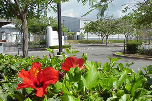 Hawaii Film Studio ST Picture 00002