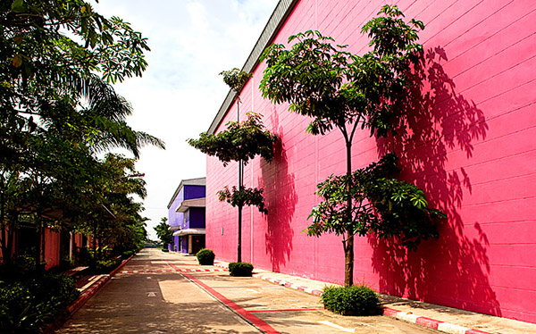 Moonstar Studio ST Picture 38