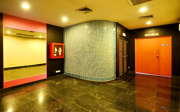 Moonstar Studio ST Picture 78