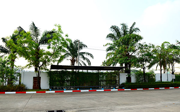 Moonstar Studio ST Picture 83