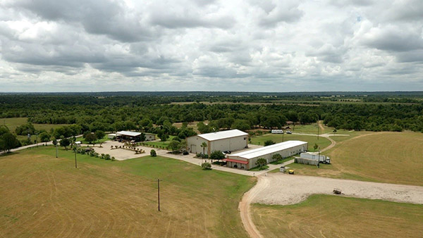 Spiderwood Studios 969 ST Picture 2