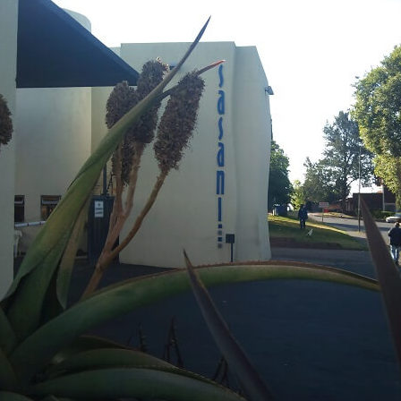 Sasani Studios ST Picture 6