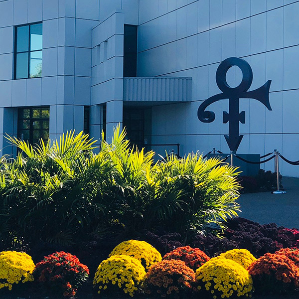 Paisley Park ST Picture 4