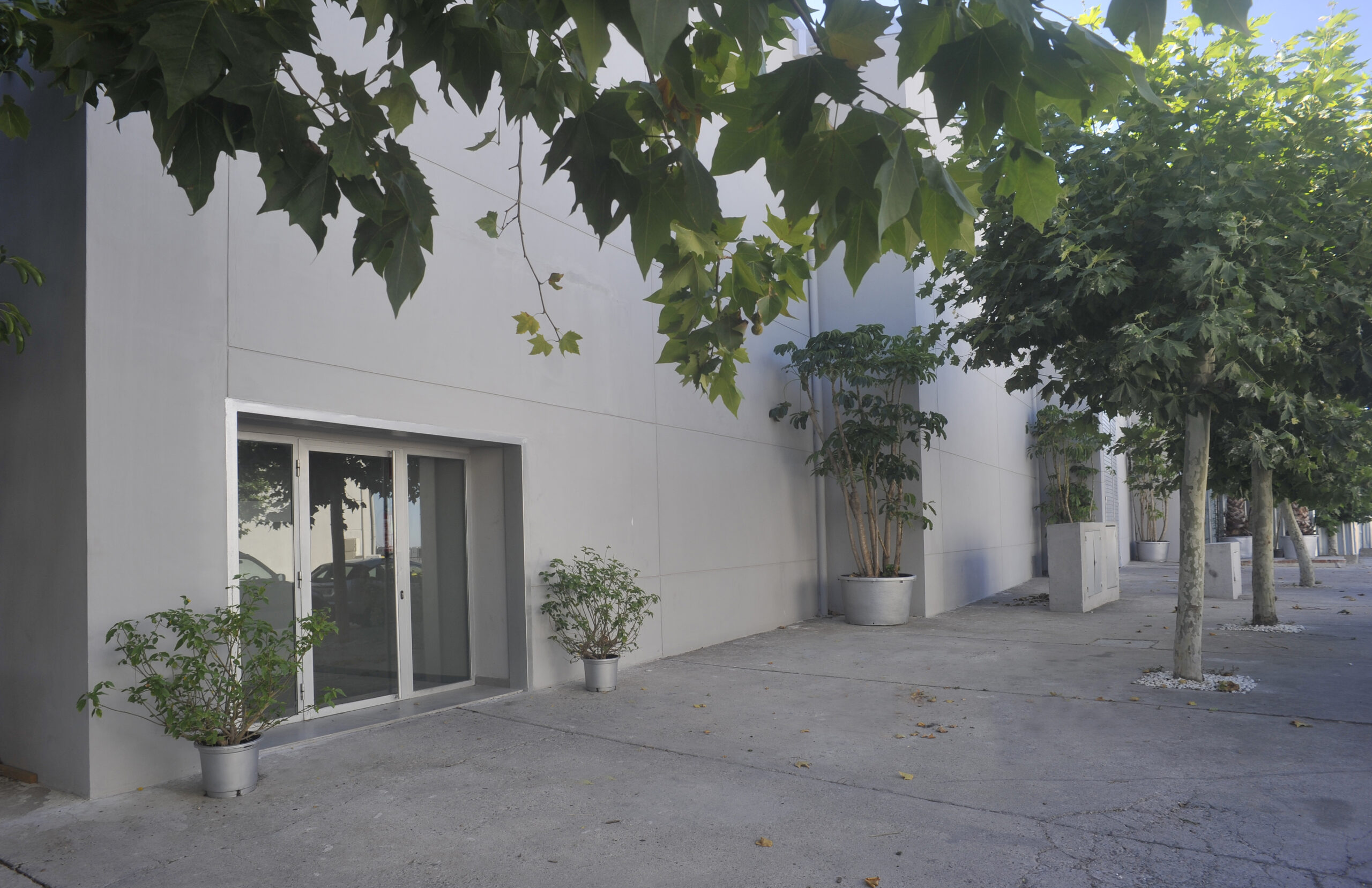 NonStop Studios ST Picture 04