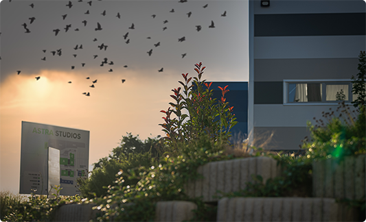 Astra Studios ST Picture 4