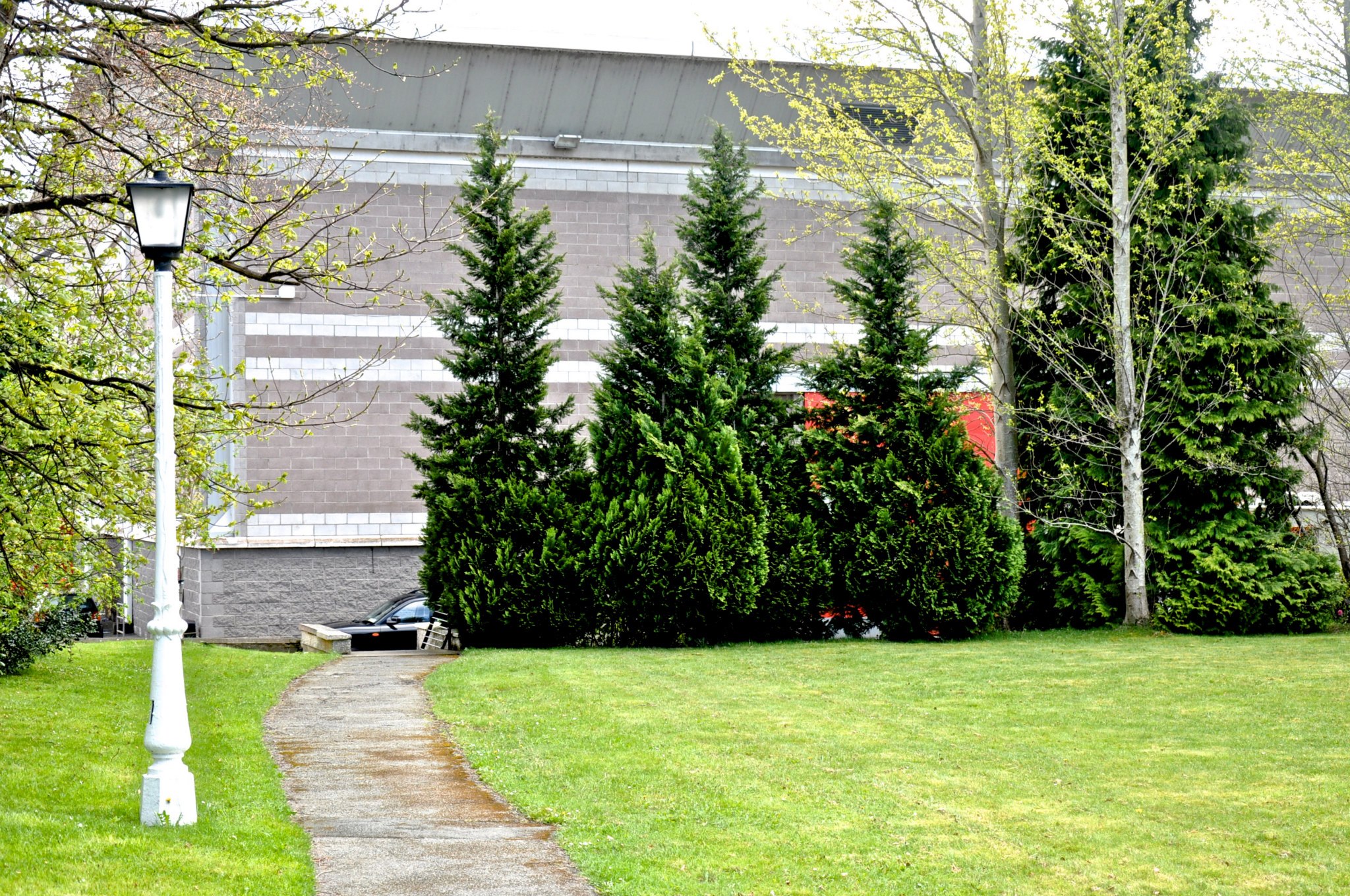 Ardmore Studios ST Picture 06