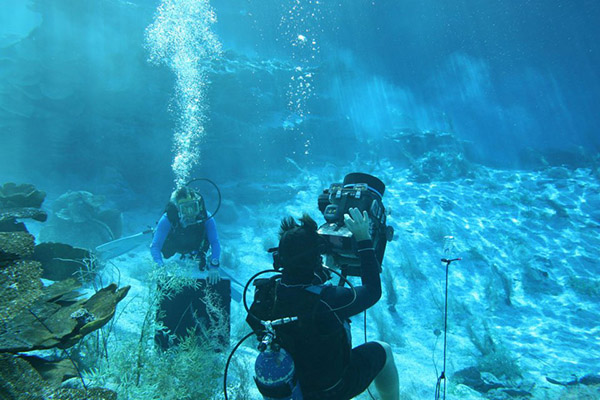 Village Roadshow Studios OT Main Tank Picture 7