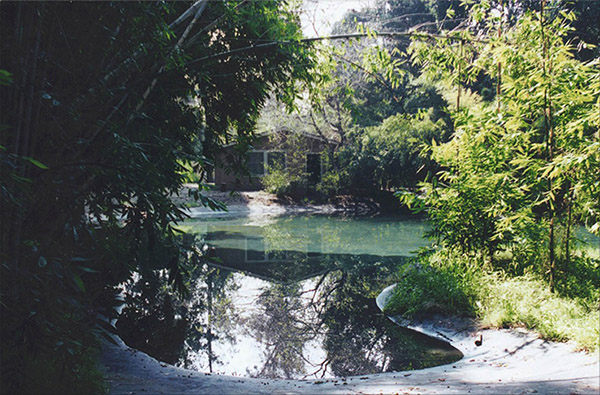 Warner Bros. Studios SA Jungle Lagoon Picture 2