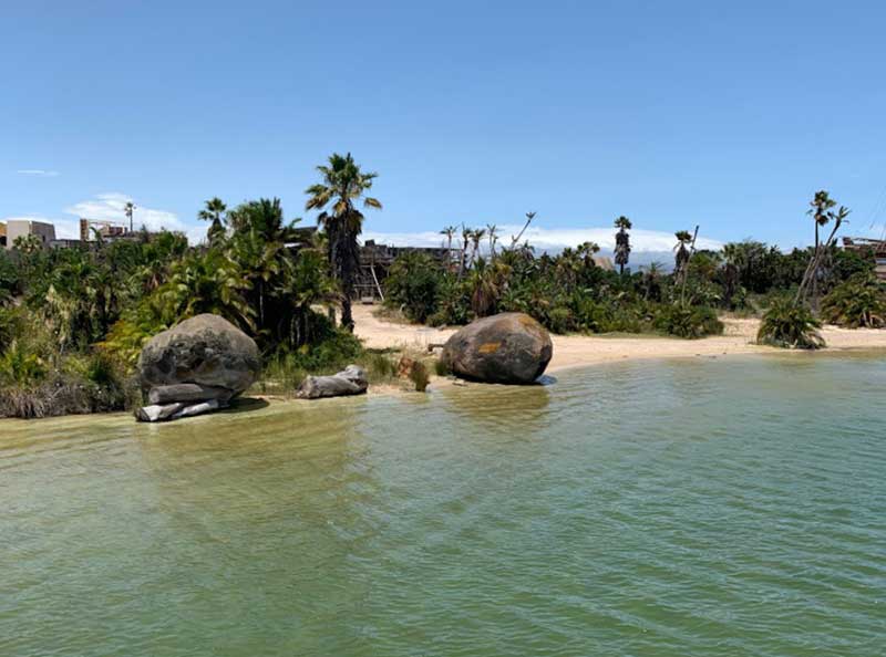 Cape Town Film Studios OT Beach Tank & Tropical Forest Set Picture 008