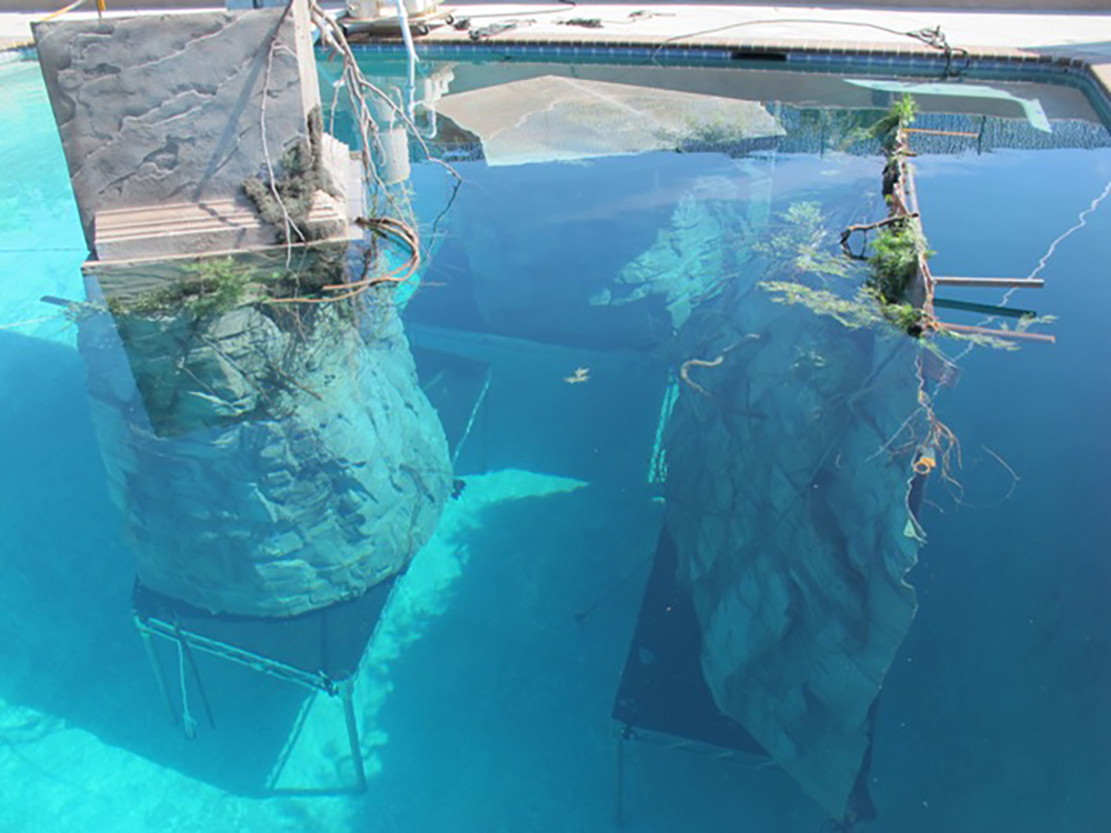 Acton Water Stage OT Tank:Pool Picture 24