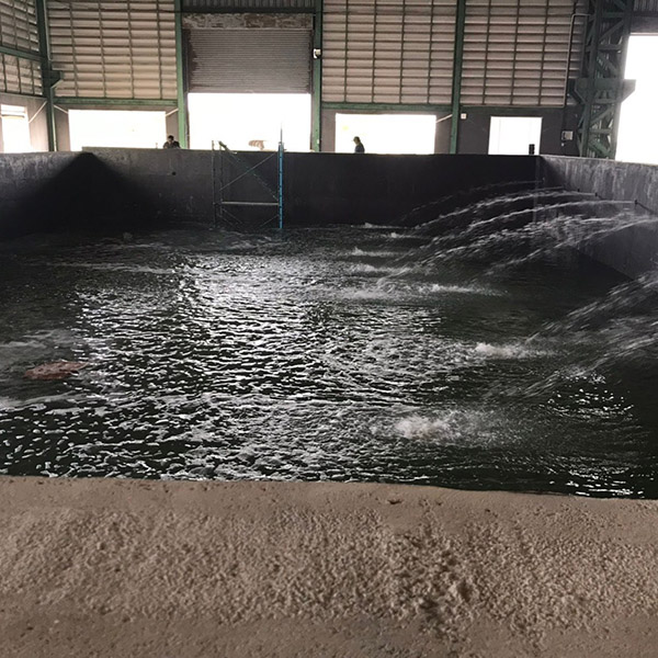 The Studio Park SS Stage Indoor Tank Picture 001