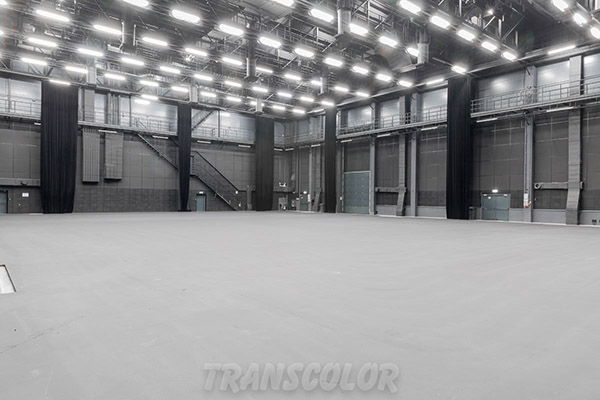 Transcolor SS Hala 1 Picture 7