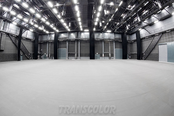 Transcolor SS Hala 1 Picture 23