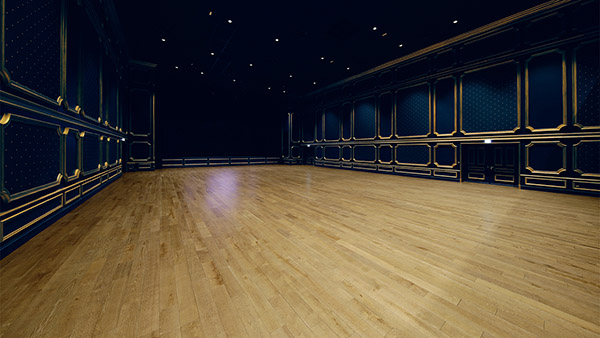 Puy Du Fou Studio SS Virtual Studio Picture 5