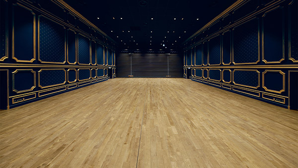 Puy Du Fou Studio SS Virtual Studio Picture 6