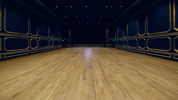 Puy Du Fou Studio SS Virtual Studio Picture 7