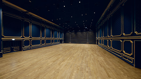 Puy Du Fou Studio SS Virtual Studio Picture 8