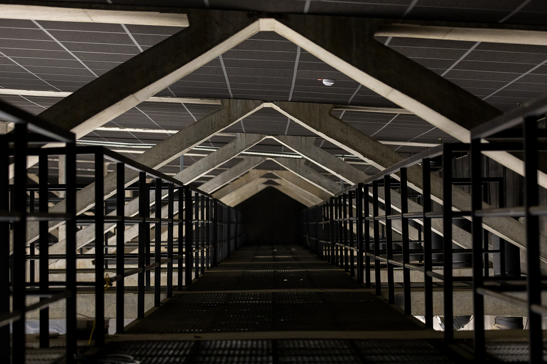 Firefly Studios SS 1 Picture 3