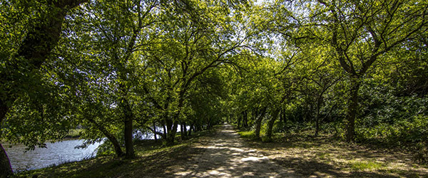 Korda Studios SA Medieval Town Picture 00045