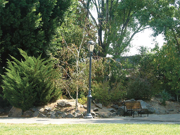 CBS Studio Center SA Residential Central Park Picture 009