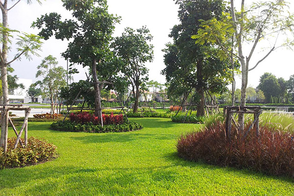 ACTS Studio SA Garden, Pool and Yard Picture 002
