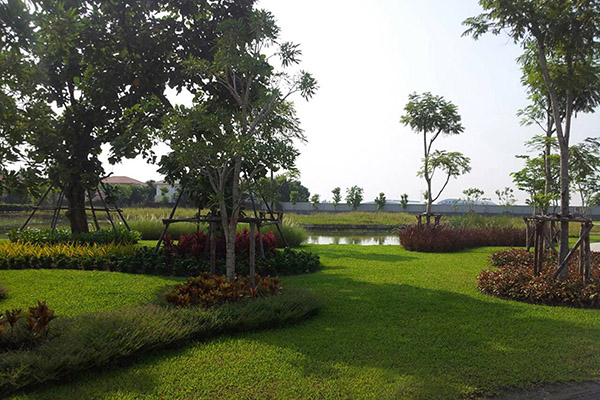 ACTS Studio SA Garden, Pool and Yard Picture 004