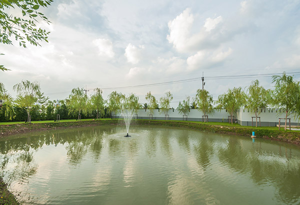 ACTS Studio SA Garden, Pool and Yard Picture 017