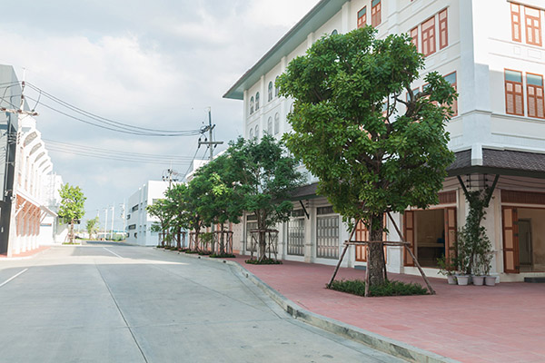 ACTS Studio SA Streets Picture 018