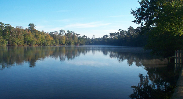 Pinewood Studios SA Lake, Heath and Woodland Picture 3