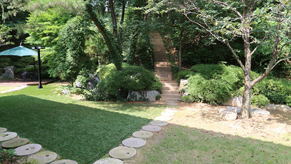 Dima Studio Complex SA Park Picture 004