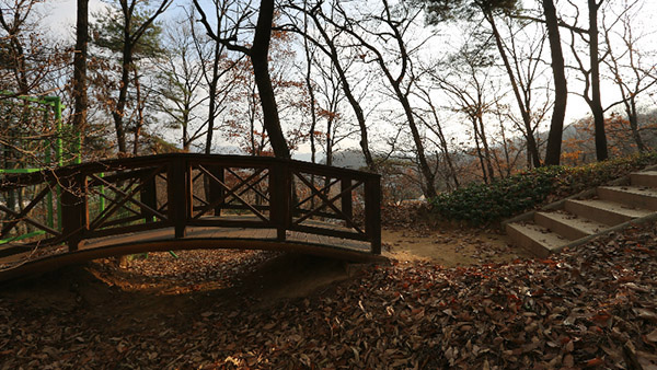 Dima Studio Complex SA Woods Picture 002