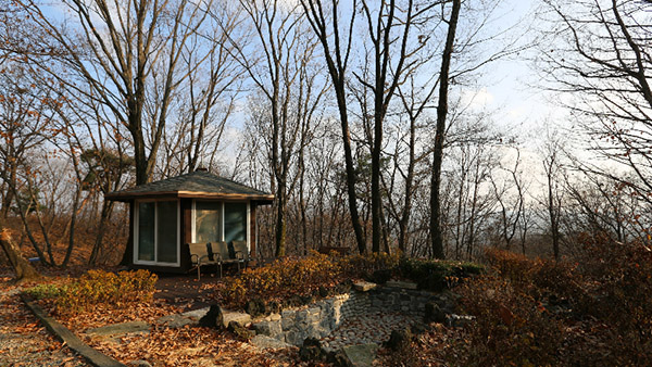 Dima Studio Complex SA Woods Picture 003