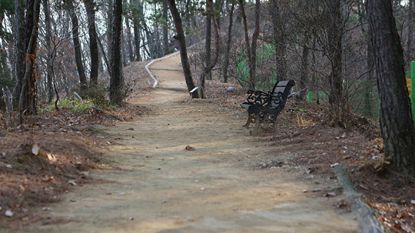 Dima Studio Complex SA Woods Picture 006
