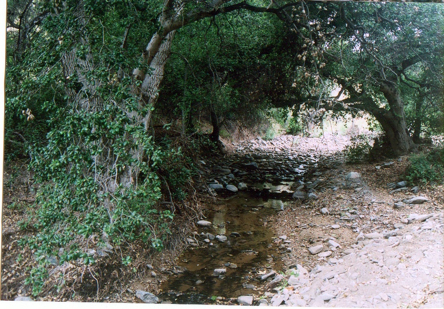 Melody Ranch Motion Picture Studio SA Open Areas : Roads : Natural Settings Picture 3