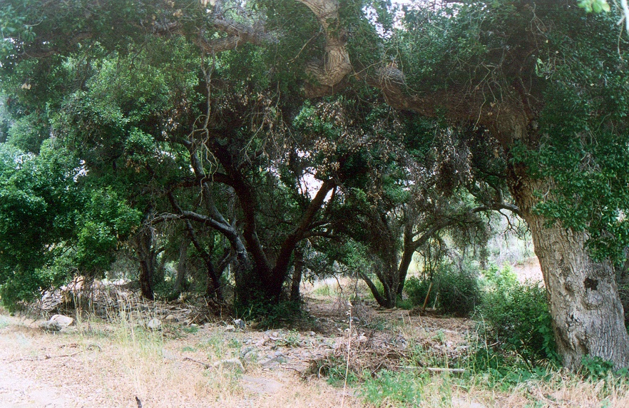 Melody Ranch Motion Picture Studio SA Open Areas : Roads : Natural Settings Picture 4