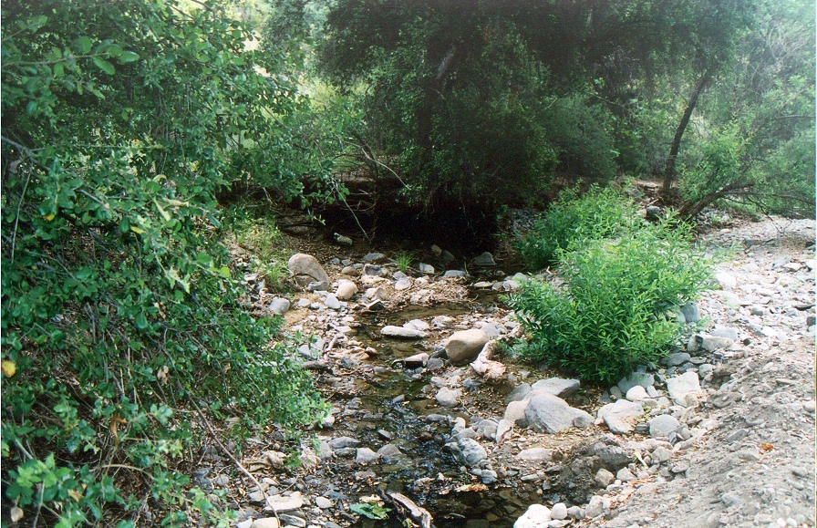 Melody Ranch Motion Picture Studio SA Open Areas : Roads : Natural Settings Picture 5