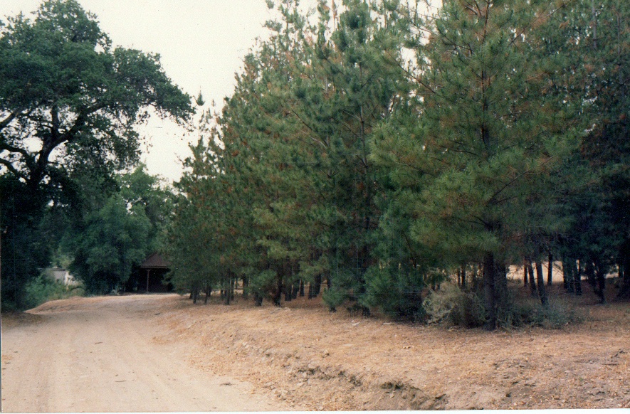 Melody Ranch Motion Picture Studio SA Open Areas : Roads : Natural Settings Picture 6
