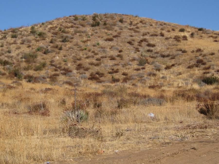 Melody Ranch Motion Picture Studio SA Open Areas : Roads : Natural Settings Picture 10