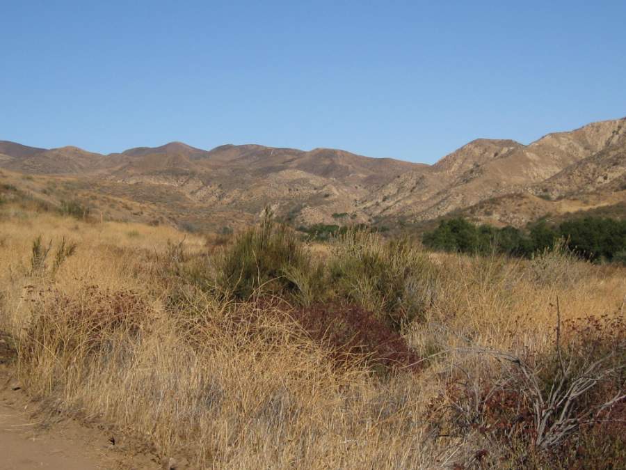 Melody Ranch Motion Picture Studio SA Open Areas : Roads : Natural Settings Picture 12