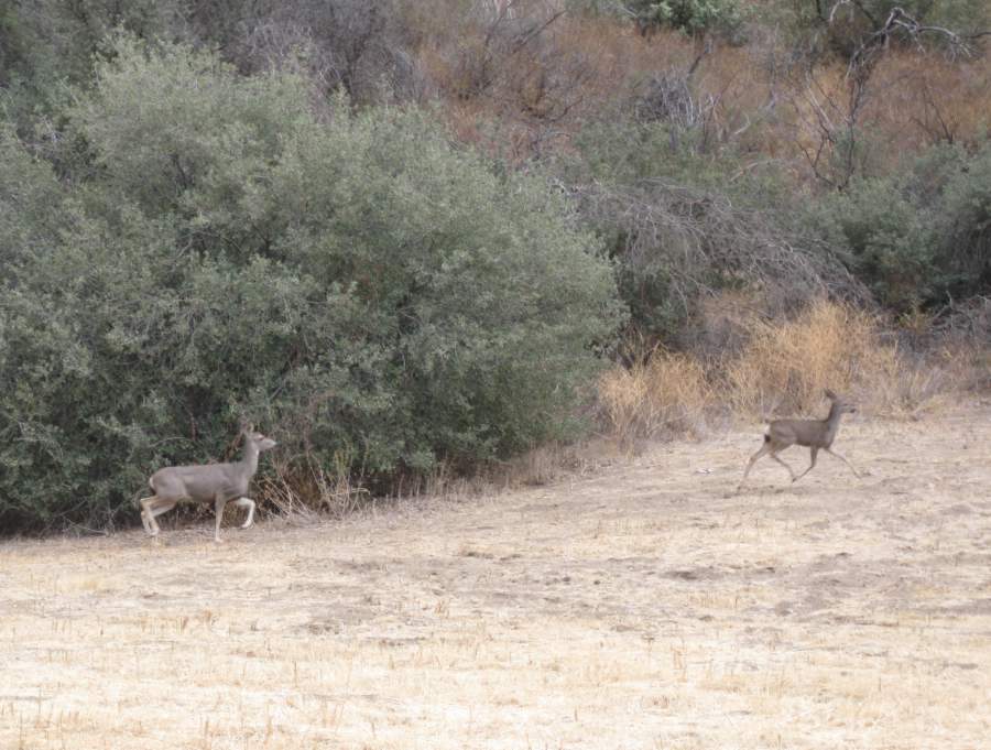 Melody Ranch Motion Picture Studio SA Open Areas : Roads : Natural Settings Picture 13