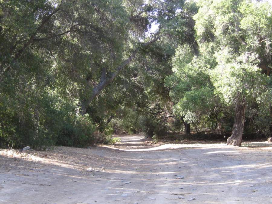Melody Ranch Motion Picture Studio SA Open Areas : Roads : Natural Settings Picture 17